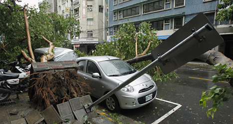 Stormen i Kina rev upp många träd ur marken. Foto: Scanpix.